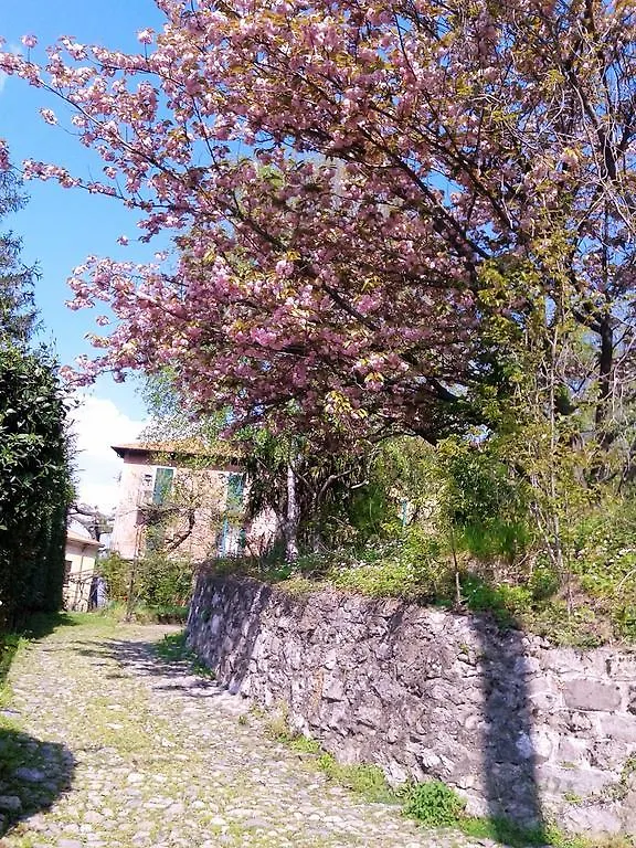 La Ca Del Menec Appartement Lierna
